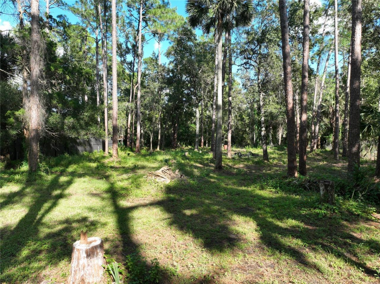 1205 Cupid Avenue , Christmas, FL 32709 Photo