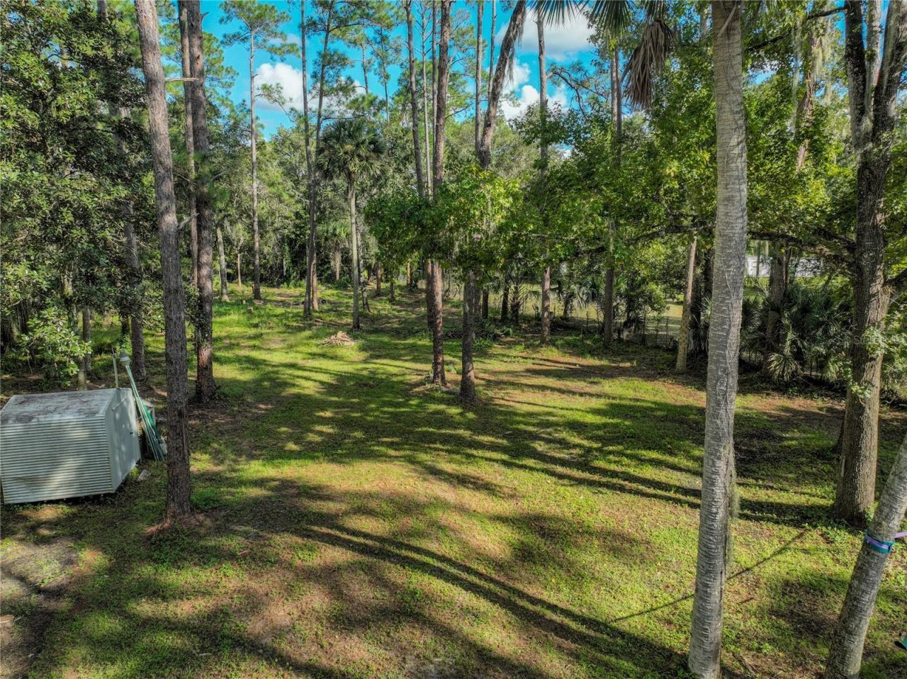 1205 Cupid Avenue , Christmas, FL 32709 Photo