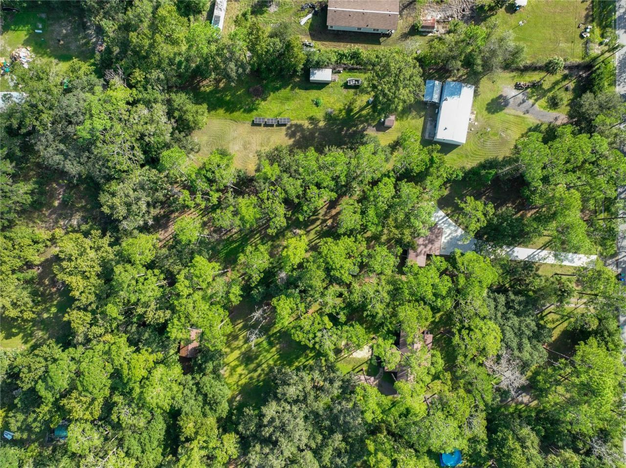 1205 Cupid Avenue , Christmas, FL 32709 Photo