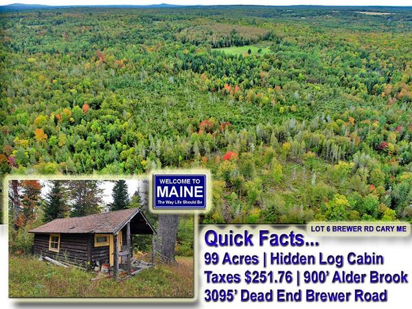 Lot 6 Brewer Road, Cary Plt, ME 04471