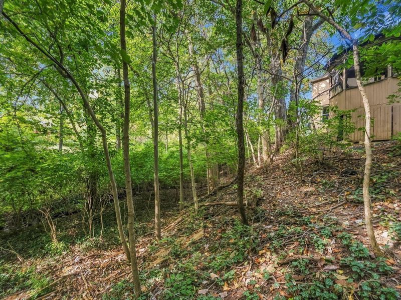 1519 Eastmeadow Place, Columbus, OH 43235 Photo 9