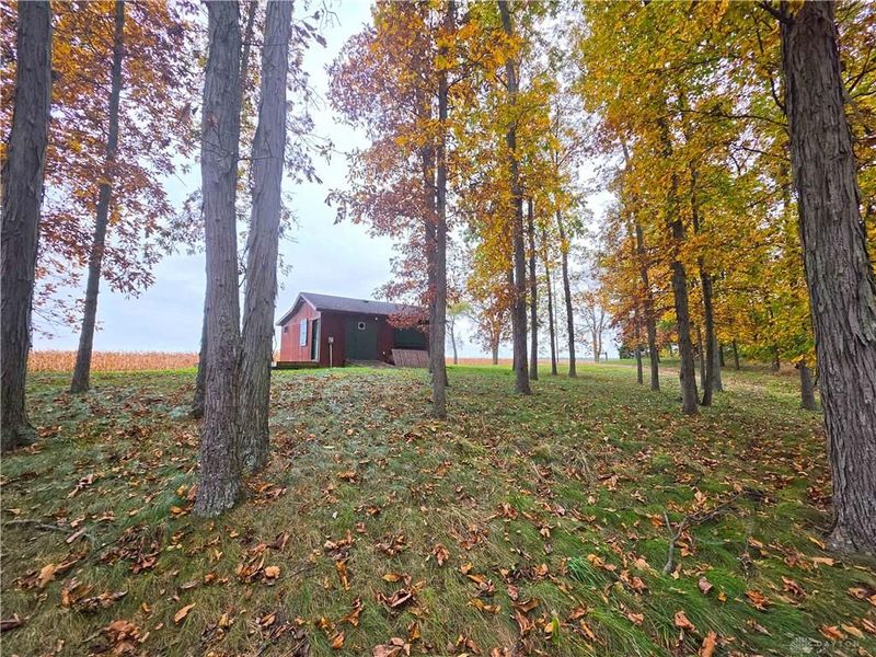 15 Acres E. Spring Valley Paintersville Road, Xenia, OH 45385 Photo 10