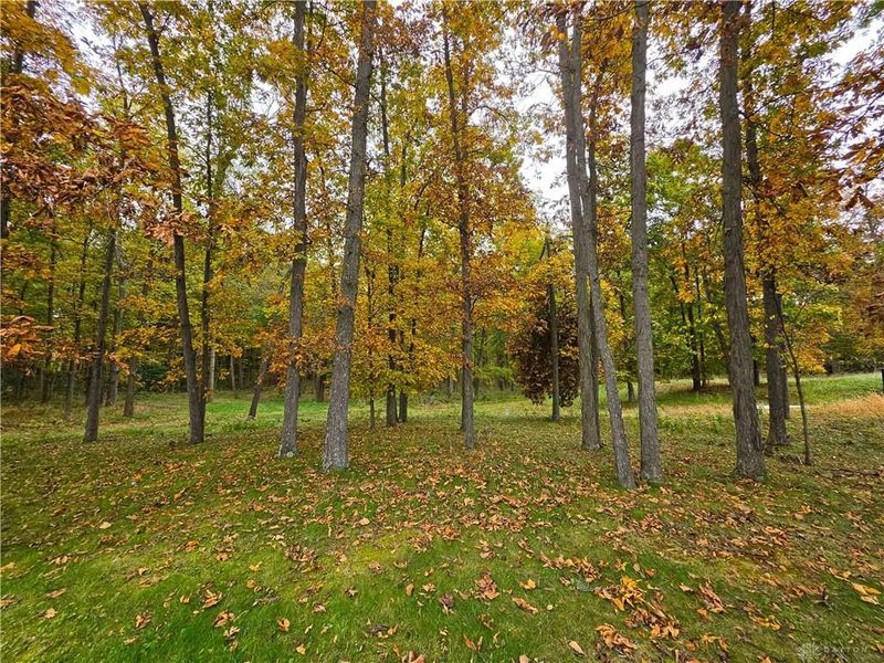15 Acres E. Spring Valley Paintersville Road, Xenia, OH 45385 Photo 11