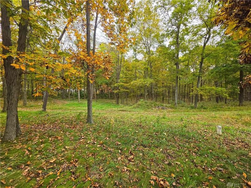 15 Acres E. Spring Valley Paintersville Road, Xenia, OH 45385 Photo 12