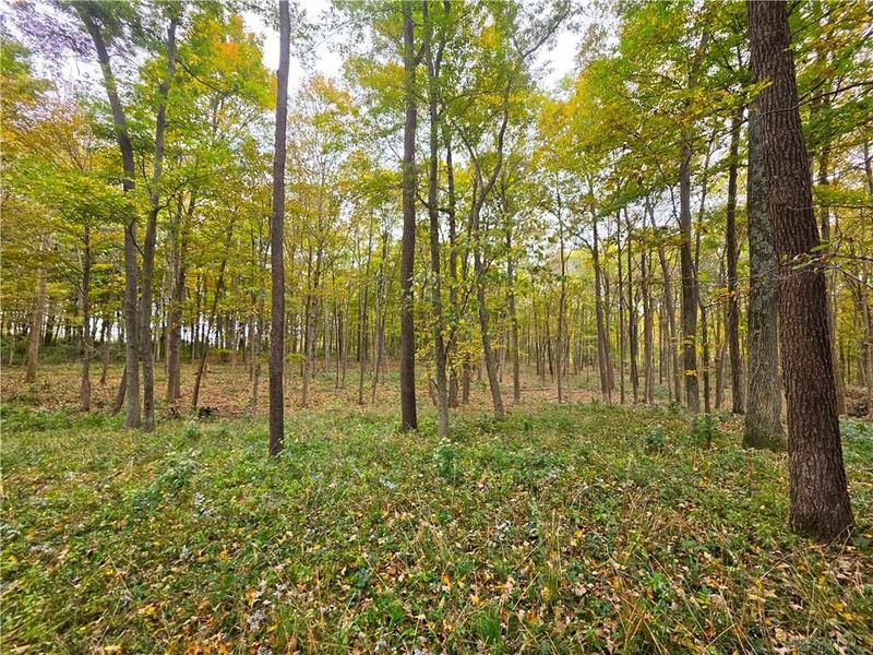 15 Acres E. Spring Valley Paintersville Road, Xenia, OH 45385 Photo 13