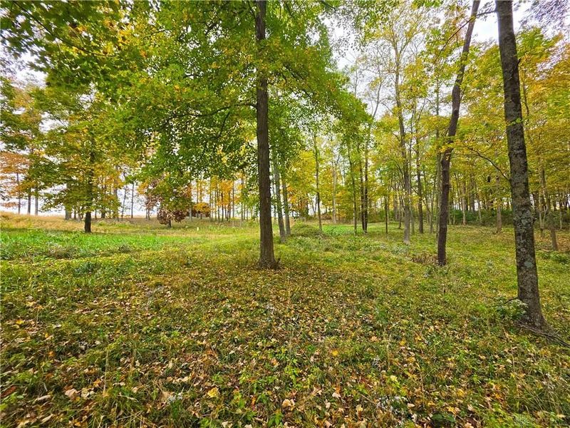 15 Acres E. Spring Valley Paintersville Road, Xenia, OH 45385 Photo 14