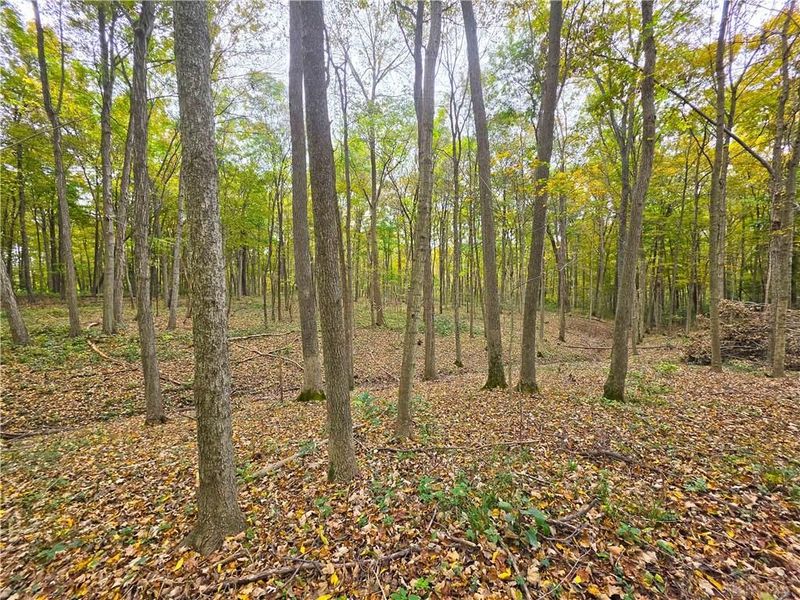 15 Acres E. Spring Valley Paintersville Road, Xenia, OH 45385 Photo 15