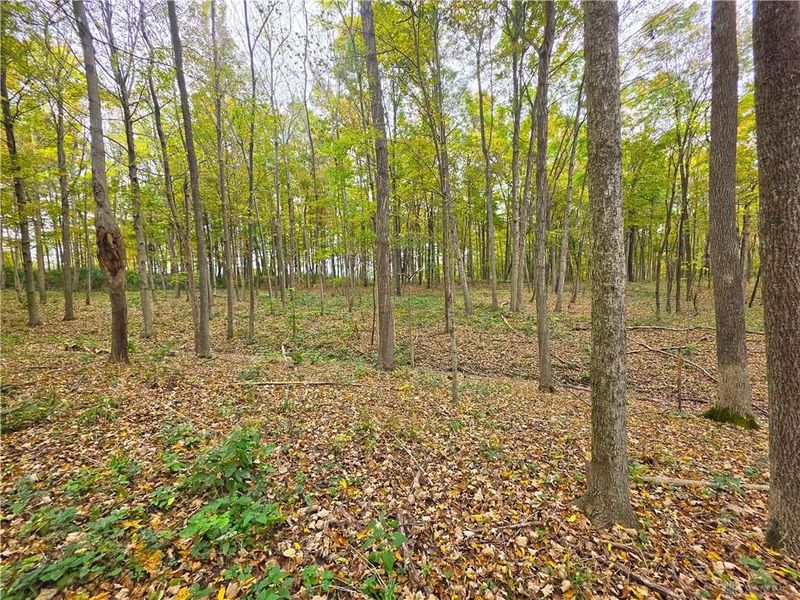 15 Acres E. Spring Valley Paintersville Road, Xenia, OH 45385 Photo 16