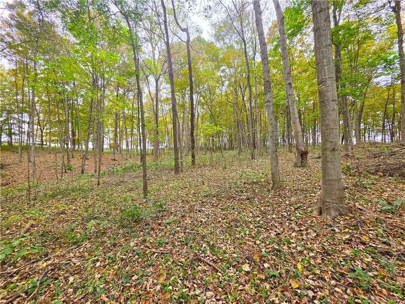 15 Acres E. Spring Valley Paintersville Road, Xenia, OH 45385 Photo 18
