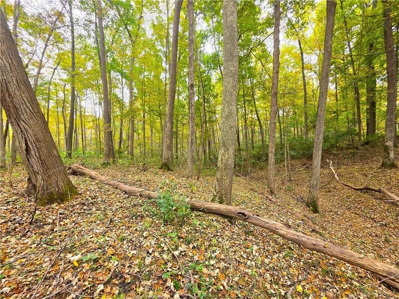 15 Acres E. Spring Valley Paintersville Road, Xenia, OH 45385 Photo 19