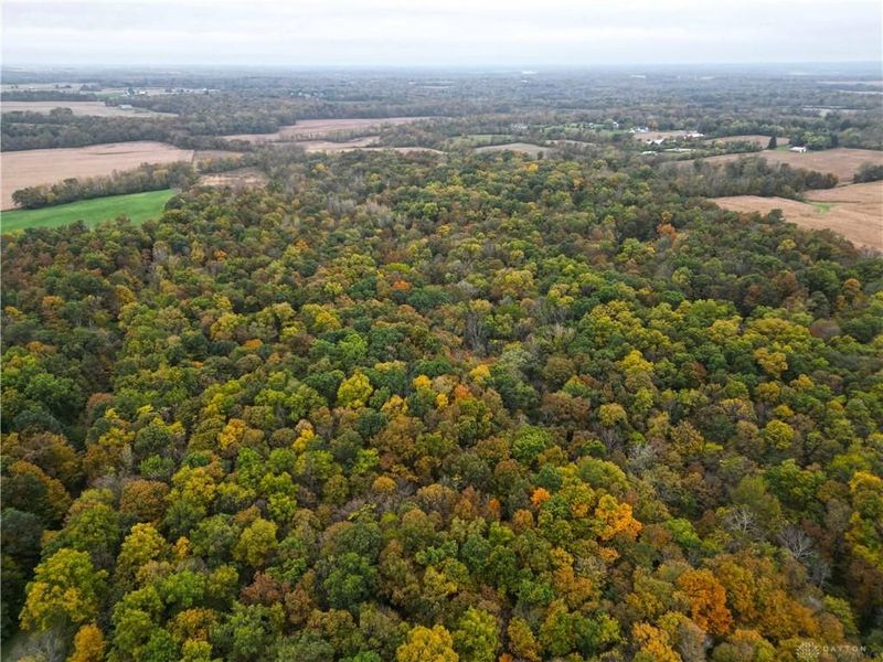 15 Acres E. Spring Valley Paintersville Road, Xenia, OH 45385 Photo 23