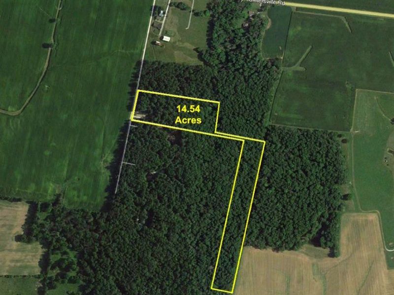 15 Acres E. Spring Valley Paintersville Road, Xenia, OH 45385 Photo 3