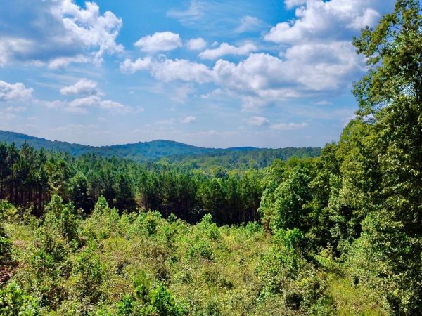271 Highgrove Drive, Talking Rock, GA 30175