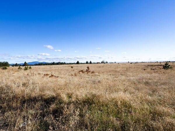 XXX W Bridges Rd, Deer Park, WA 99006