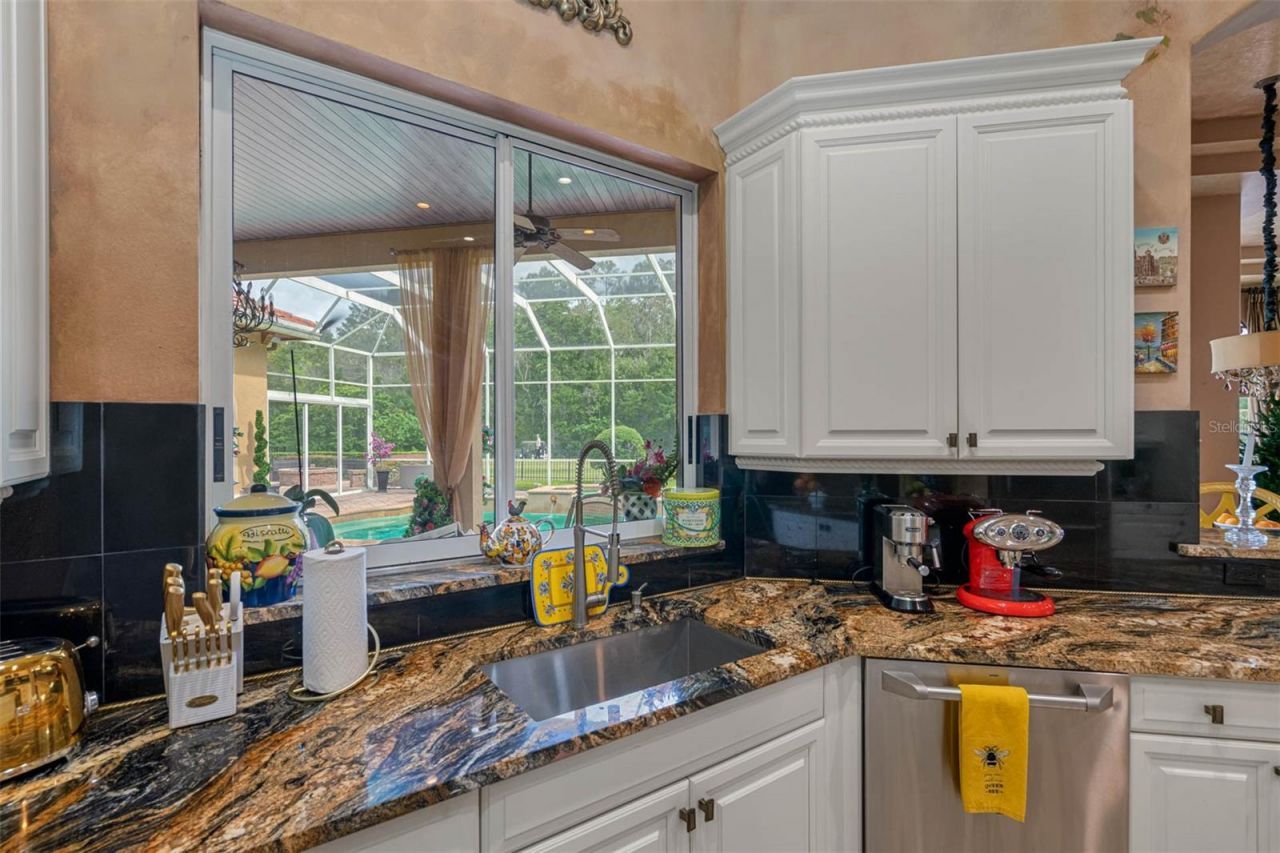 531 Isleworth Close, Tarpon Springs, FL 34688 Photo