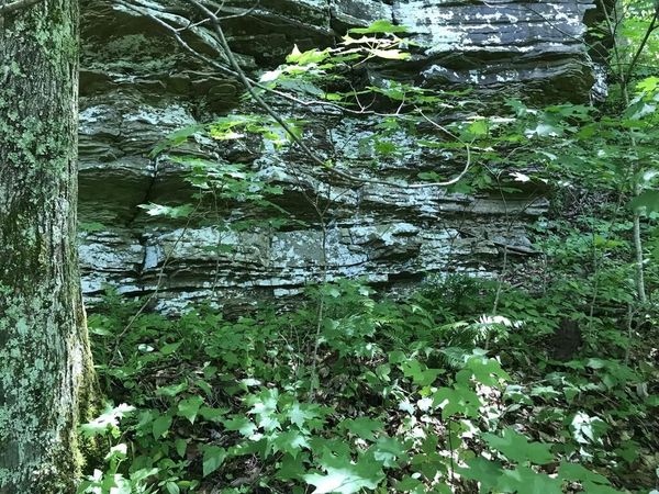 0 Happy Top, Crossville, TN 38555