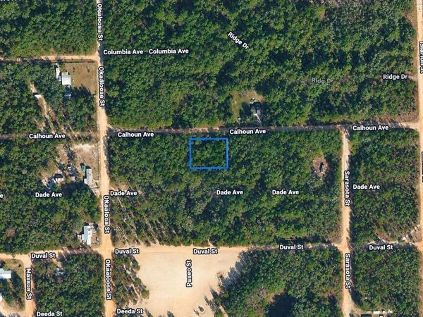 313 CALHOUN AVENUE , FLORAHOME, FL 32140