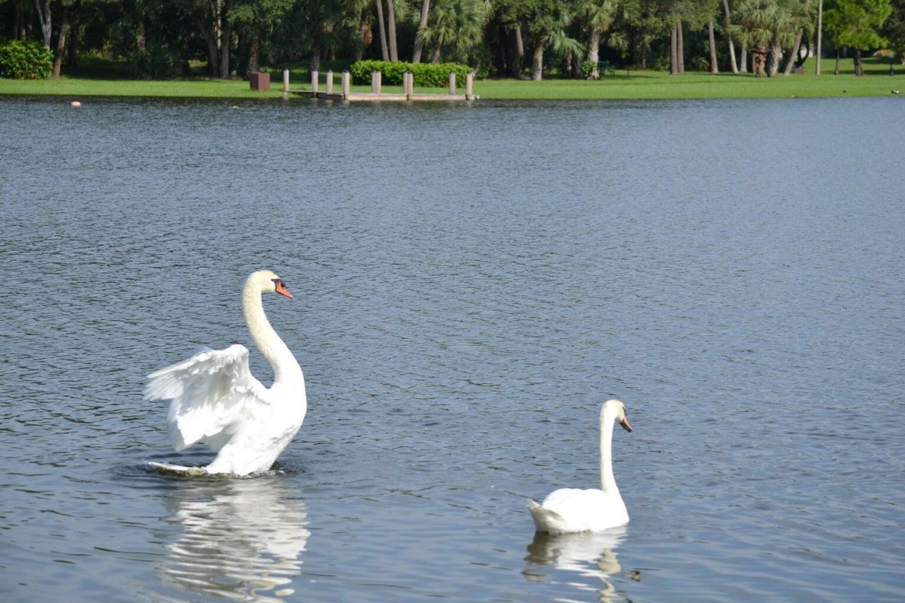 480 Hardwood Place, Boca Raton, FL 33431 Photo