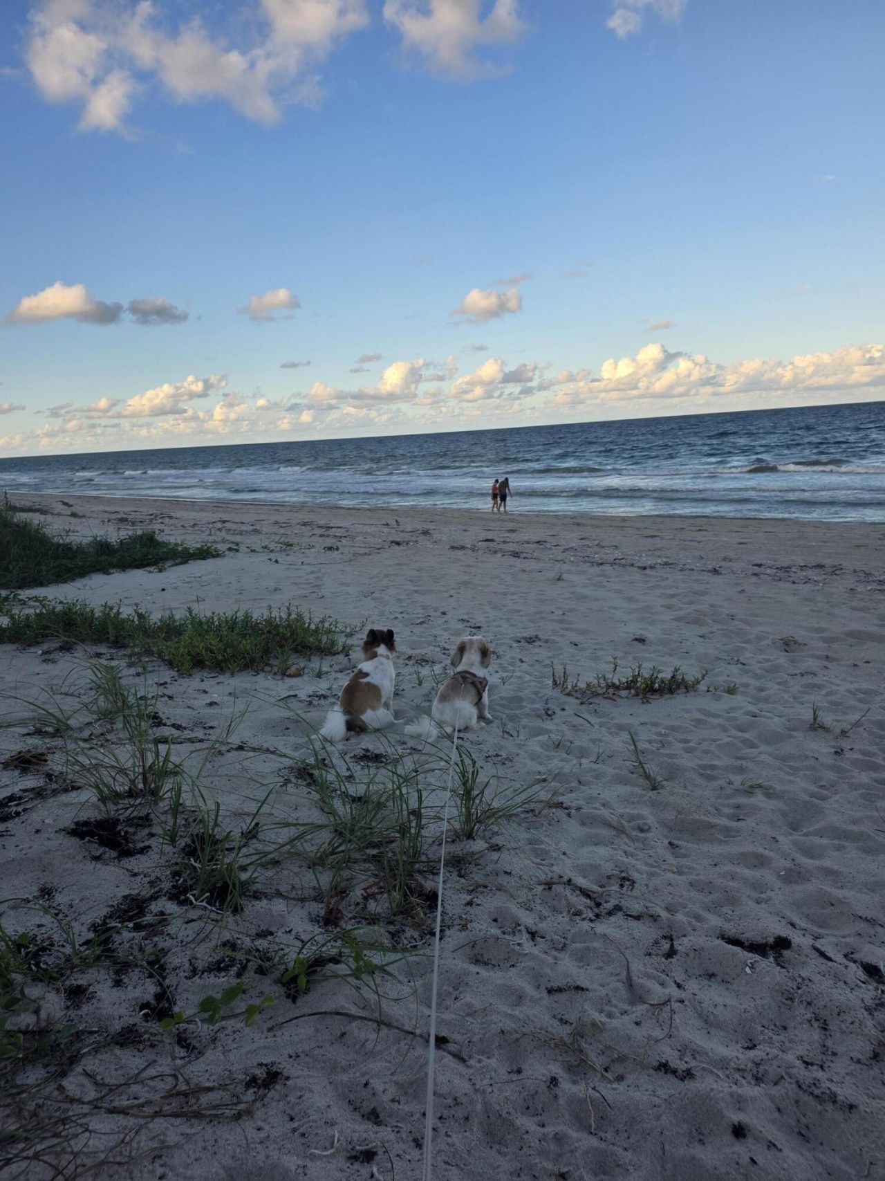 3870 N Hwy A1a, Fort Pierce, FL 34949 Photo