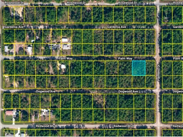 337 PALM Way, Georgetown, FL 32139