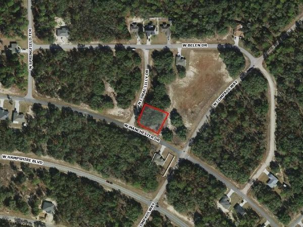 6371 N CORAL LILY Drive, Dunnellon, FL 34434