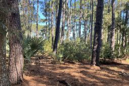 8366 Palmetto Road photo 4