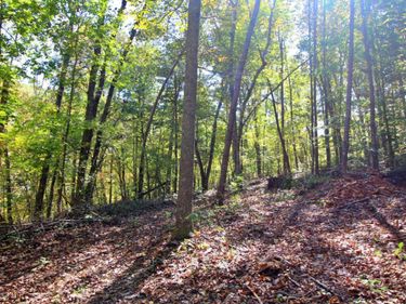 1 Mill Pond Road, Appomattox, VA 24522