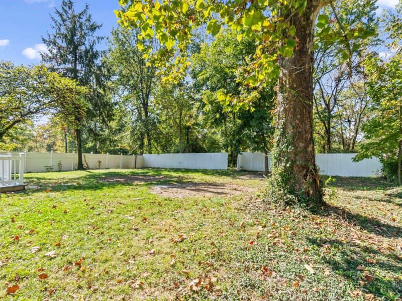 9969 Pippin Road, Colerain Township, OH 45231 Photo 39