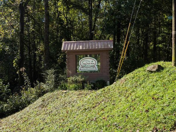 Lot 5 Mossy Hill Court, Ellijay, GA 30540