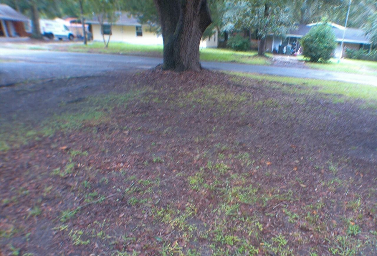 1206 Hawthorne Road Photo 14