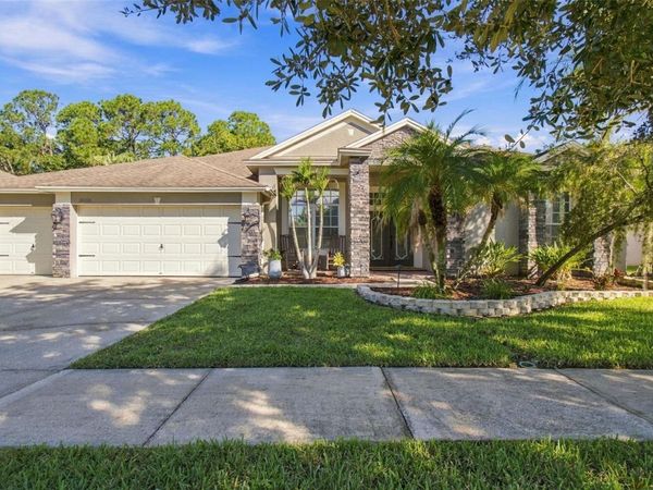 26221 SWORD DANCER DRIVE, WESLEY CHAPEL, FL 33544