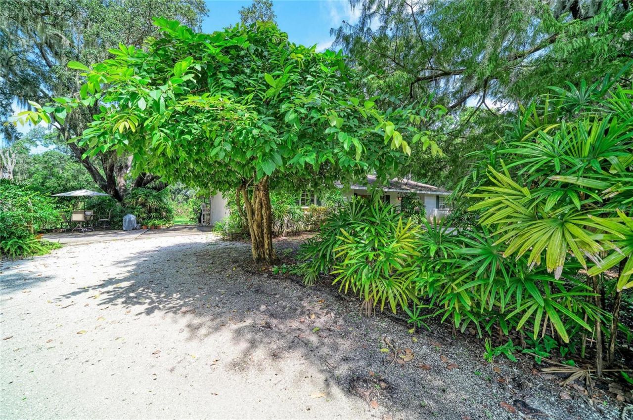 2953 47th Street, Sarasota, FL 34234 Photo