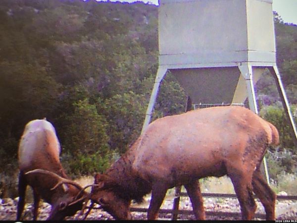 TBD SD 52800, Rocksprings, TX 78880