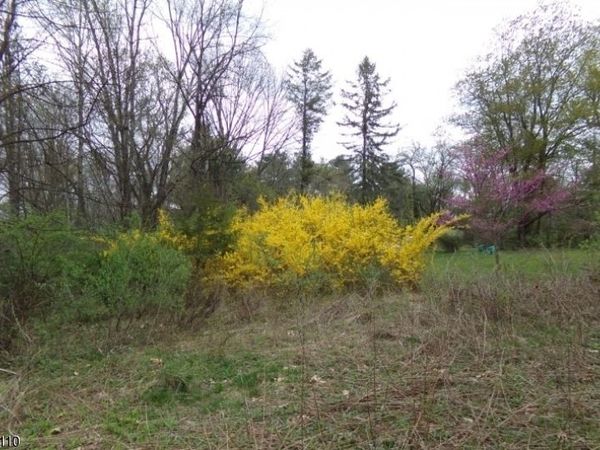 8 Hill Rd, Montague, NJ 07827