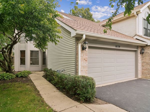 1039 N Auburn Woods Drive, Unit 1039, Palatine, IL 60067