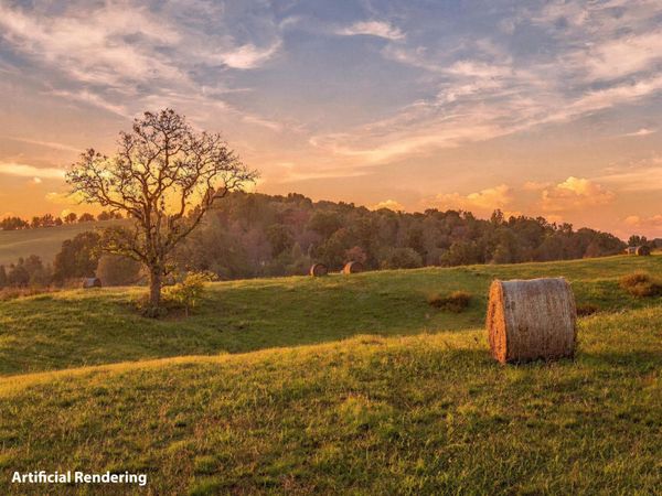 1709 Mullins Road, Russellville, TN 37860