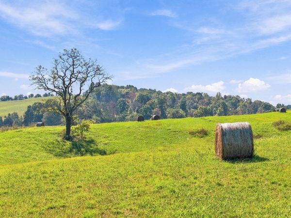 1709 Mullins Road, Russellville, TN 37860