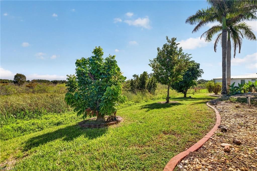 1313 Olivet St , Lehigh Acres, FL 33972 Photo