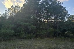 Tbd Highway 25/tower View Dr  photo 4