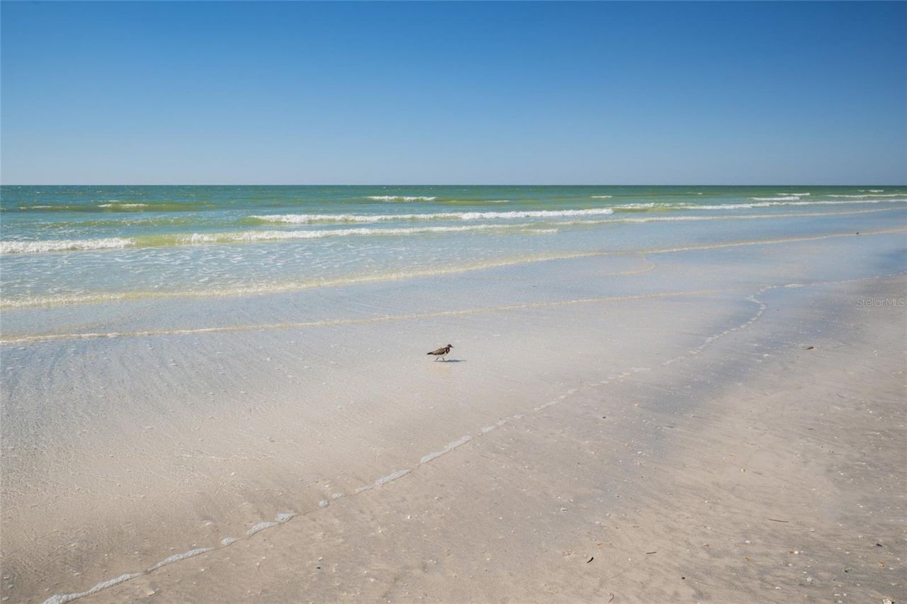 19600 Gulf Boulevard, Unit 202, Indian Shores, FL 33785 Photo