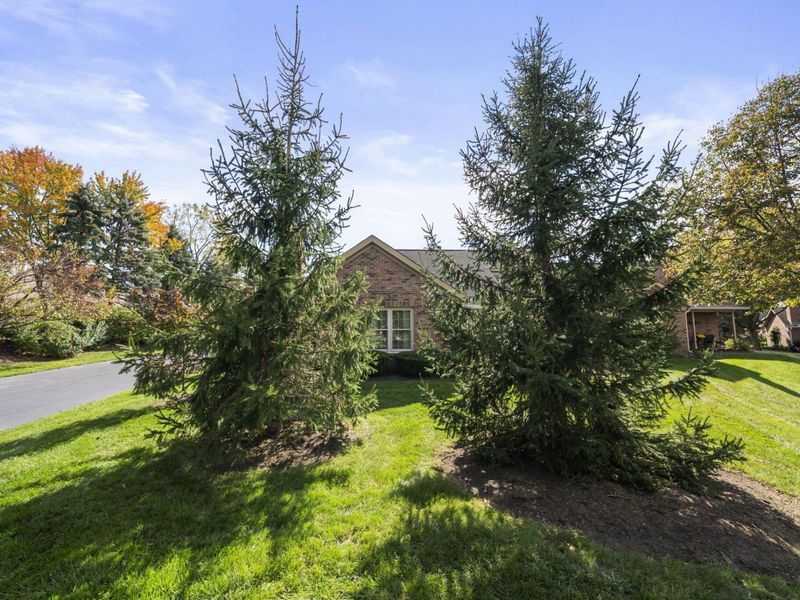 174 Cameron Ridge Drive, Columbus, OH 43235 Photo 36