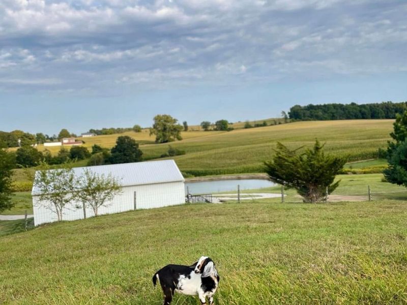 6325 Lancaster Circleville Road SW, Lancaster, OH 43130 Photo 61