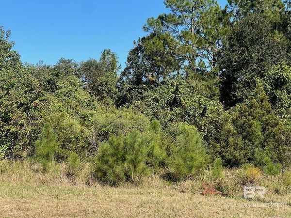 20979 Robinson Lane, Gulf Shores, AL 36542