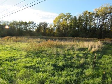 Forgham, Lyons, NY 14489