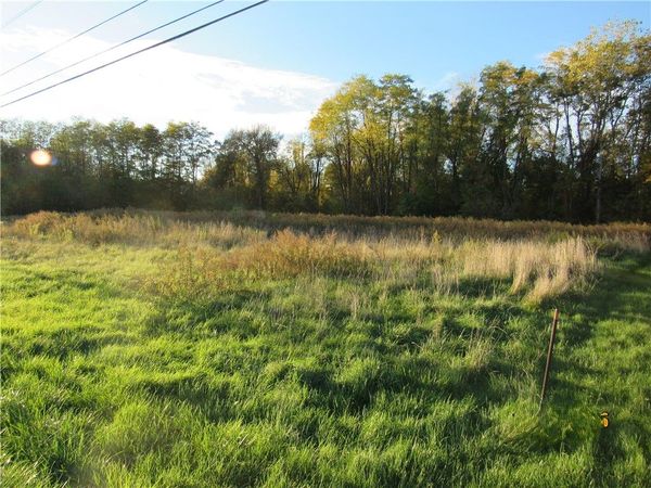 Forgham , Lyons, NY 14489