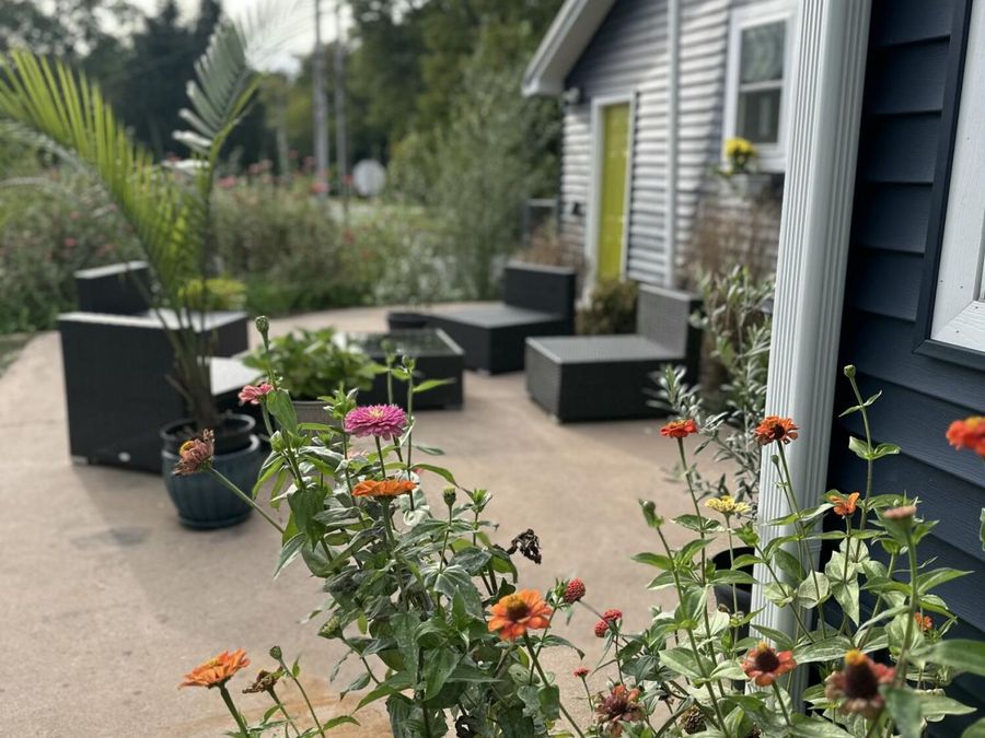 Property Image 43