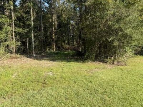 000 NW Patterson Road, Ruth, MS 39662