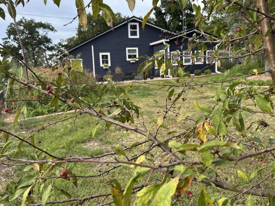 Property Image 38