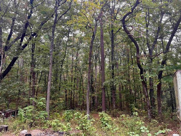 220 Grant County Road 52 , Sheridan, AR 72150