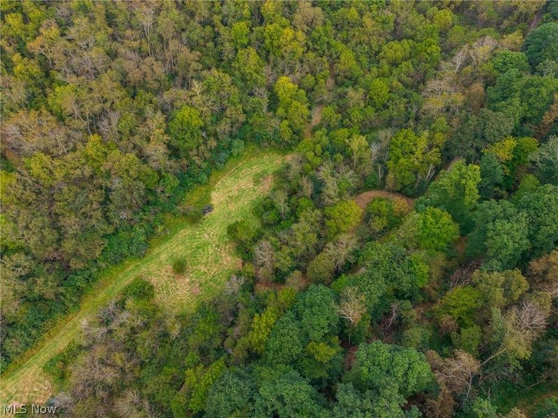 84134 Brewer Road, Cadiz, OH 43907 Photo 14